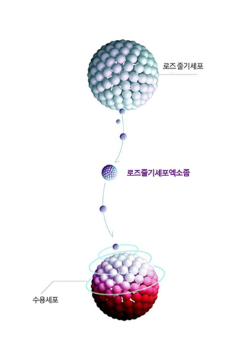 릴리's 프리미엄 스킨부스터